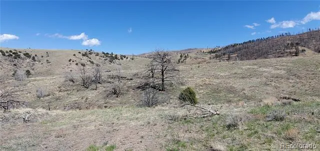 Address Not Shown Fort Garland, CO 81133