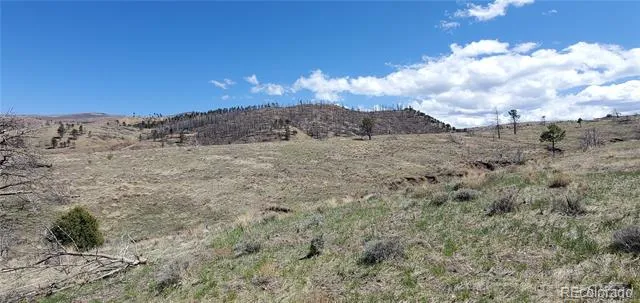 Address Not Shown Fort Garland, CO 81133