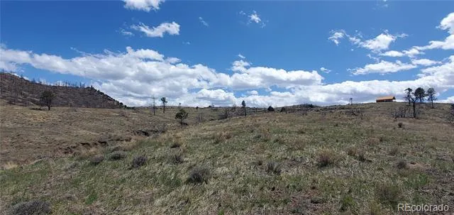 Address Not Shown Fort Garland, CO 81133