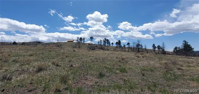Address Not Shown Fort Garland, CO 81133