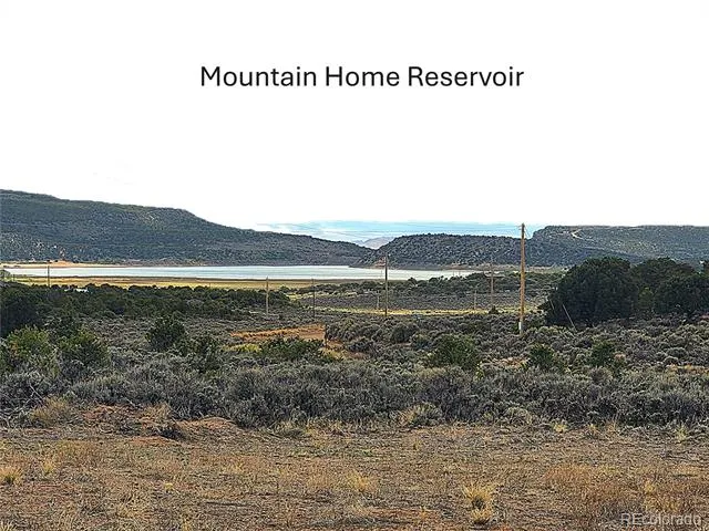 3691 Rockwell Road Fort Garland, CO 81133