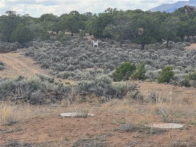 3691 Rockwell Road Fort Garland, CO 81133