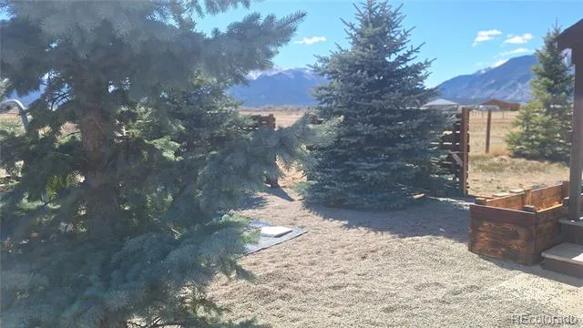 12593 Ce Ce Lane Nathrop, CO 81236