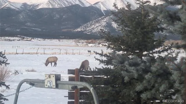 12593 Ce Ce Lane Nathrop, CO 81236