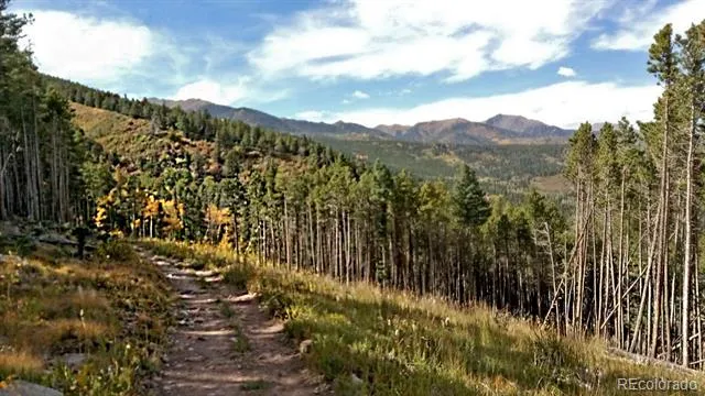 28 County Road 136 Westcliffe, CO 81252