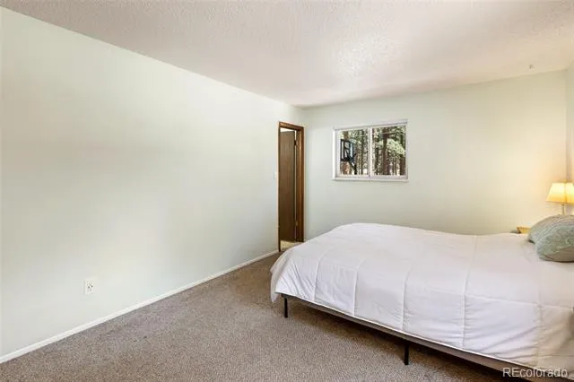 723 Center Street Woodland Park, CO 80863