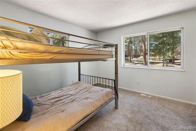 723 Center Street Woodland Park, CO 80863