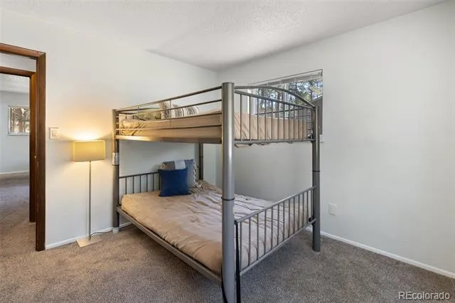 723 Center Street Woodland Park, CO 80863