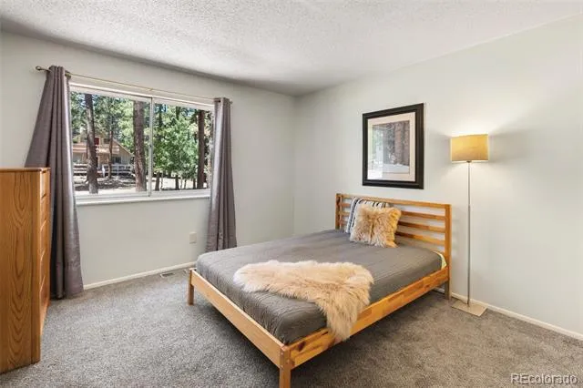 723 Center Street Woodland Park, CO 80863