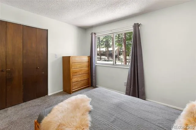 723 Center Street Woodland Park, CO 80863
