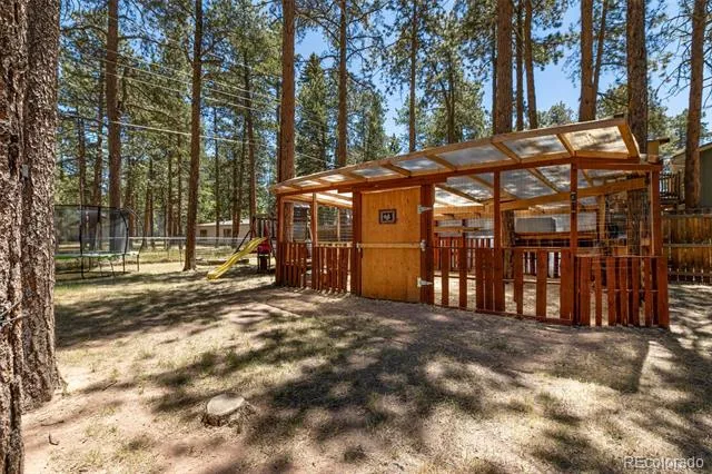 723 Center Street Woodland Park, CO 80863