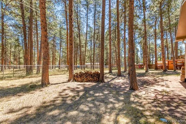 723 Center Street Woodland Park, CO 80863