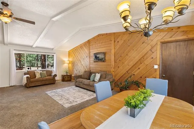 723 Center Street Woodland Park, CO 80863