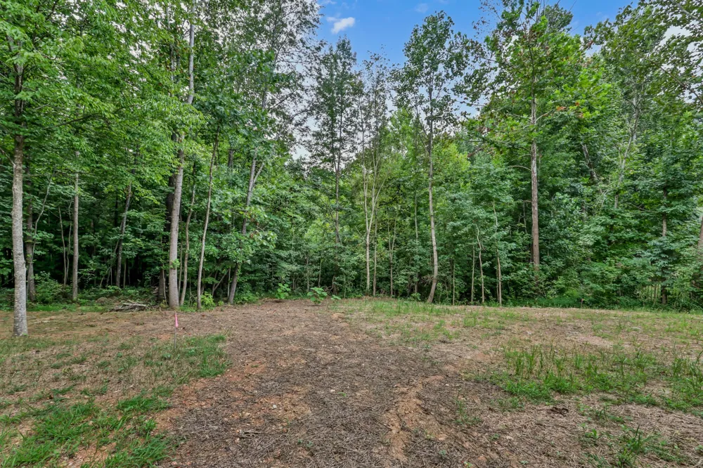229 Birnam Wood Trce Clarksville, TN 37043