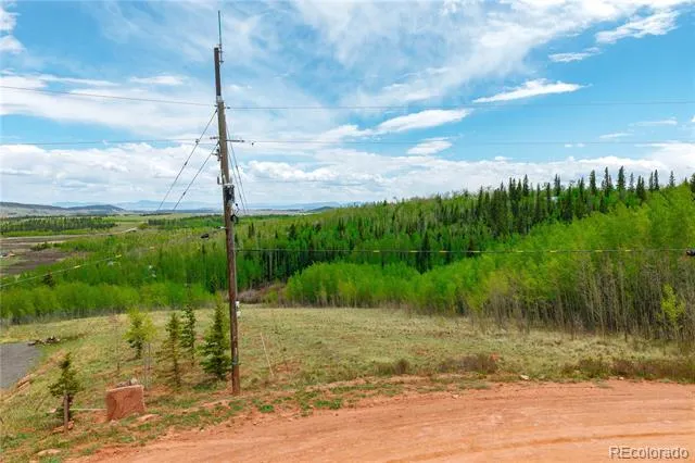 562 Palmer Peak Drive Fairplay, CO 80440