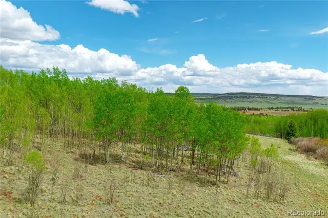562 Palmer Peak Drive Fairplay, CO 80440
