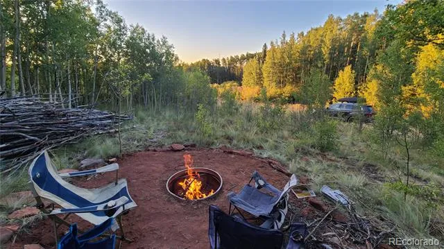 562 Palmer Peak Drive Fairplay, CO 80440