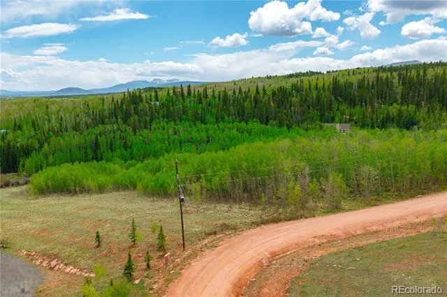 562 Palmer Peak Drive Fairplay, CO 80440