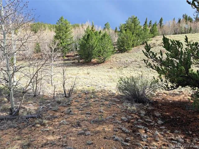 1411 Travois Road Como, CO 80432