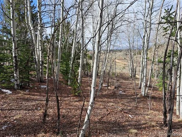 1411 Travois Road Como, CO 80432