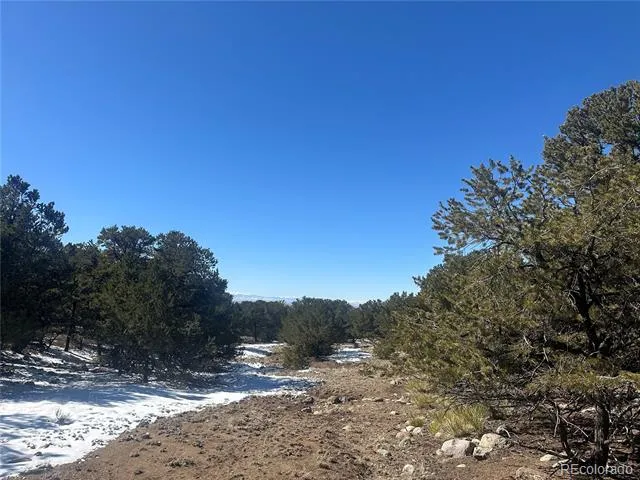 4117 Cordial Way Crestone, CO 81131