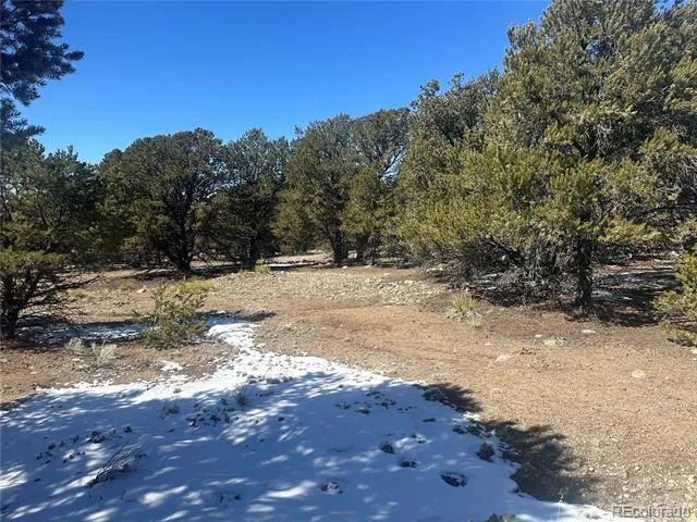 4117 Cordial Way Crestone, CO 81131