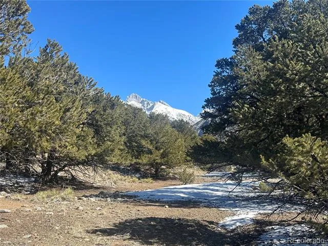 4117 Cordial Way Crestone, CO 81131