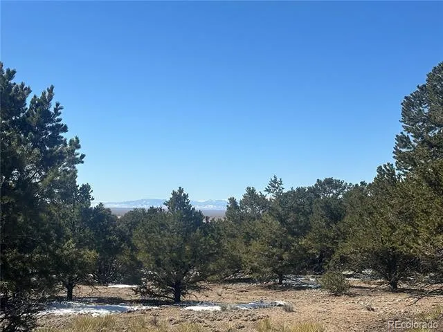 4117 Cordial Way Crestone, CO 81131