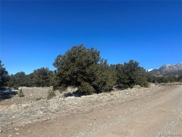4117 Cordial Way Crestone, CO 81131
