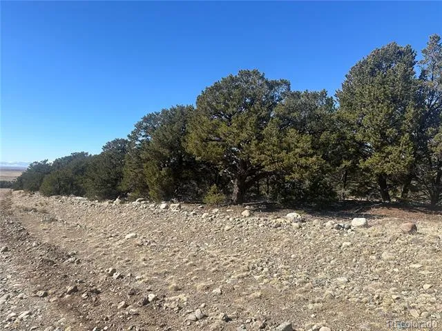 4117 Cordial Way Crestone, CO 81131