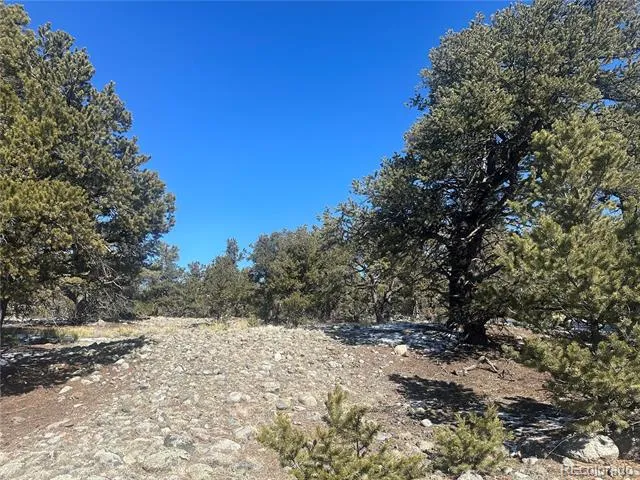4117 Cordial Way Crestone, CO 81131