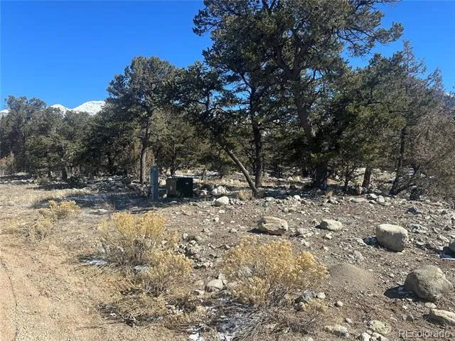 4117 Cordial Way Crestone, CO 81131