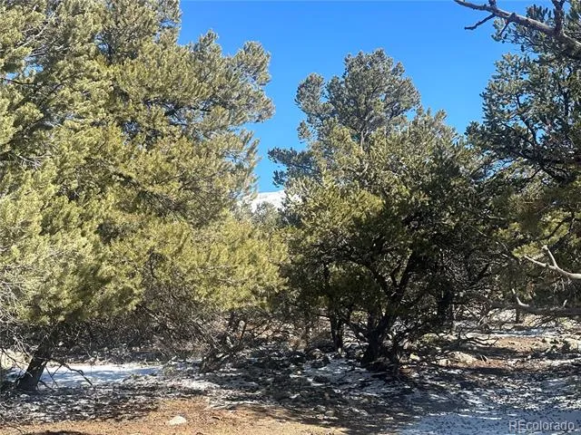 4117 Cordial Way Crestone, CO 81131