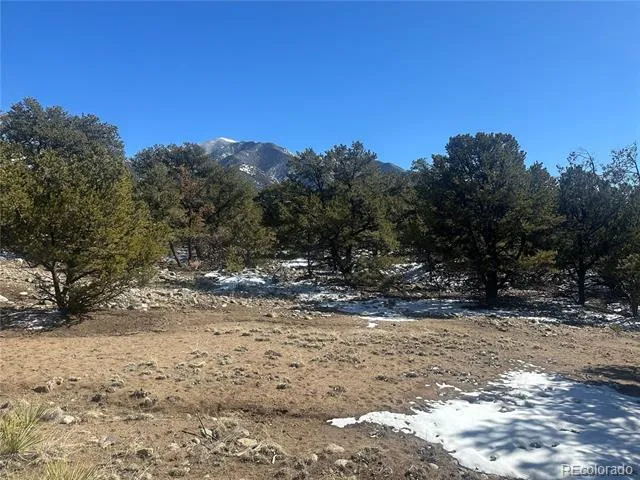 4117 Cordial Way Crestone, CO 81131