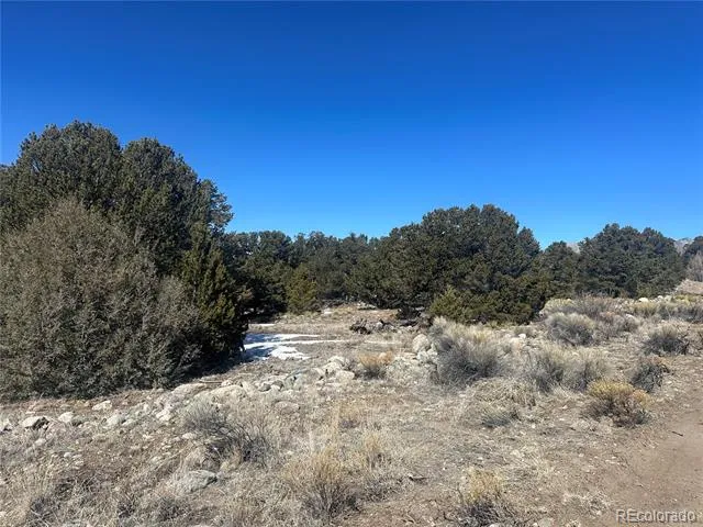 4117 Cordial Way Crestone, CO 81131