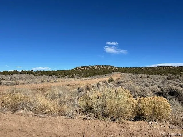 Lot 1088 Yablon Road Fort Garland, CO 81133