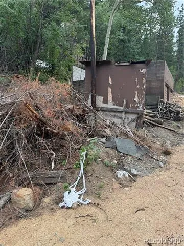 10762 Twin Spruce Road Golden, CO 80403