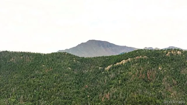 9150 W Us-24 Highway Cascade, CO 80809