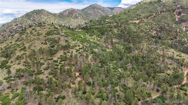 9150 W Us-24 Highway Cascade, CO 80809
