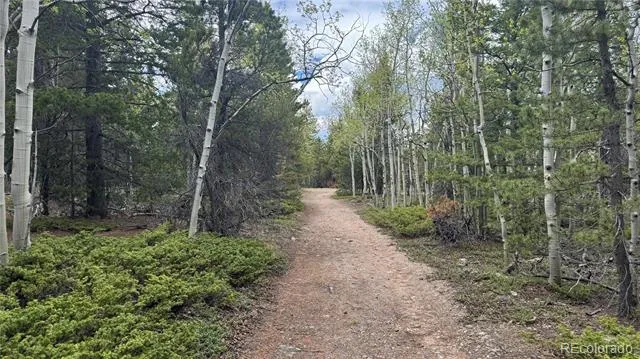 005 Roy Smith Road Central City, CO 80427