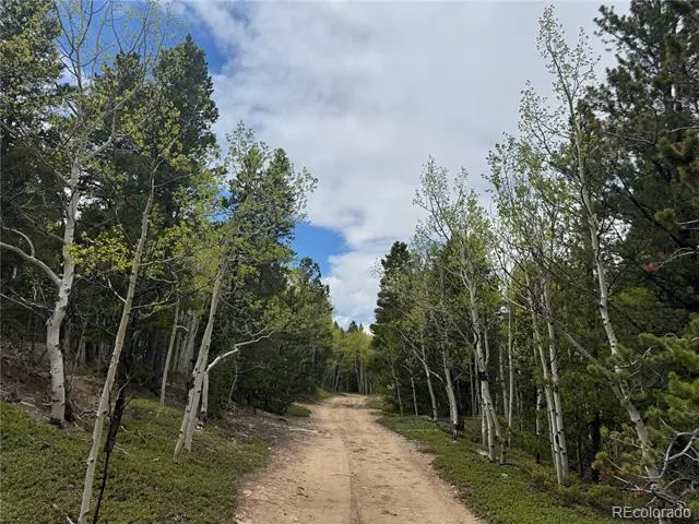 005 Roy Smith Road Central City, CO 80427