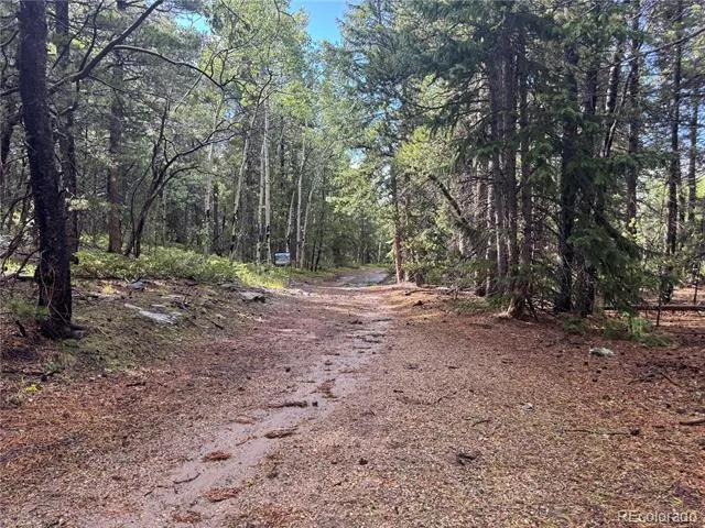 005 Roy Smith Road Central City, CO 80427
