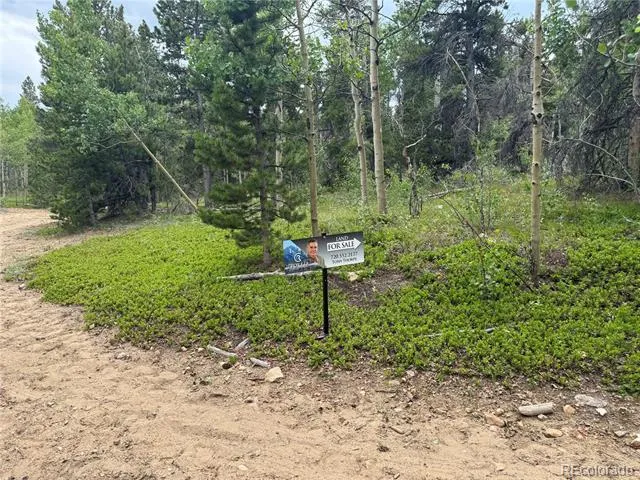 005 Roy Smith Road Central City, CO 80427