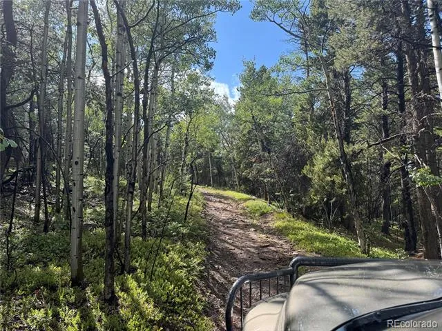005 Roy Smith Road Central City, CO 80427