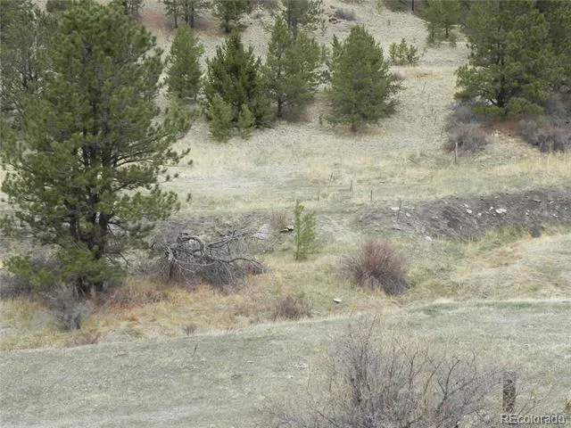 521 Monarch Drive Cripple Creek, CO 80813