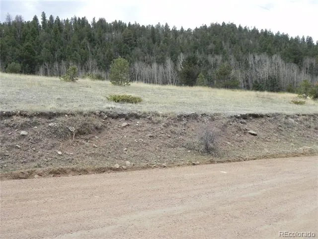 521 Monarch Drive Cripple Creek, CO 80813