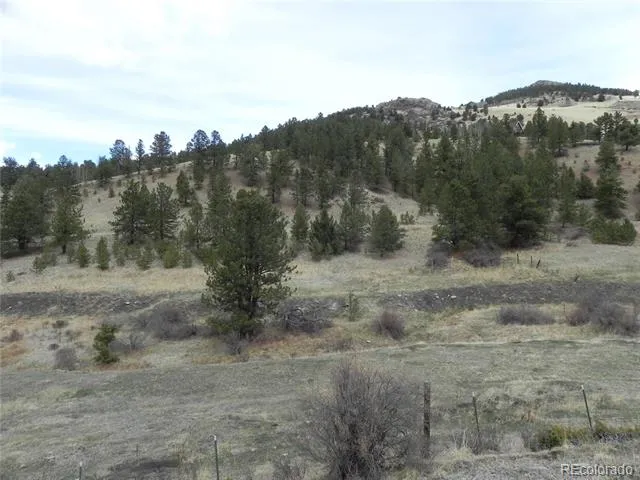 521 Monarch Drive Cripple Creek, CO 80813