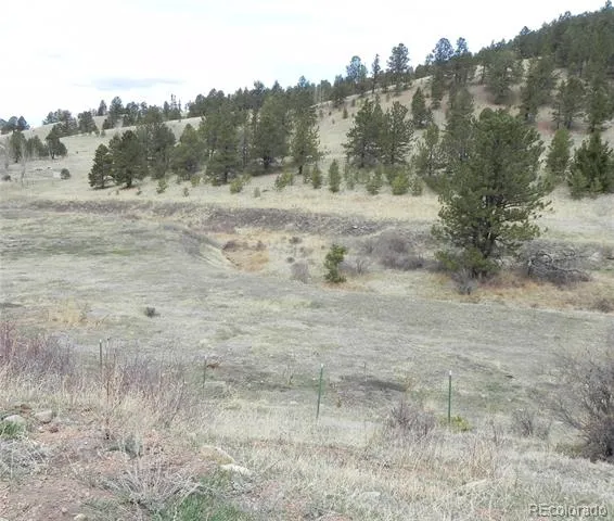 521 Monarch Drive Cripple Creek, CO 80813