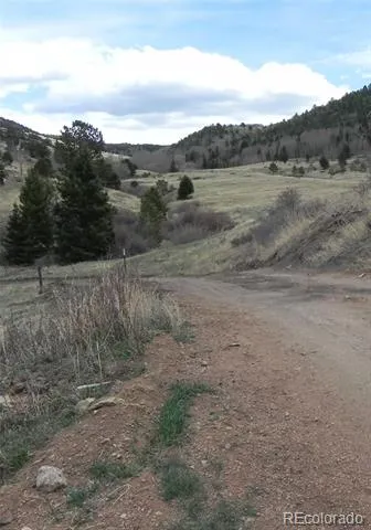 521 Monarch Drive Cripple Creek, CO 80813