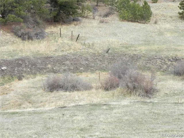521 Monarch Drive Cripple Creek, CO 80813